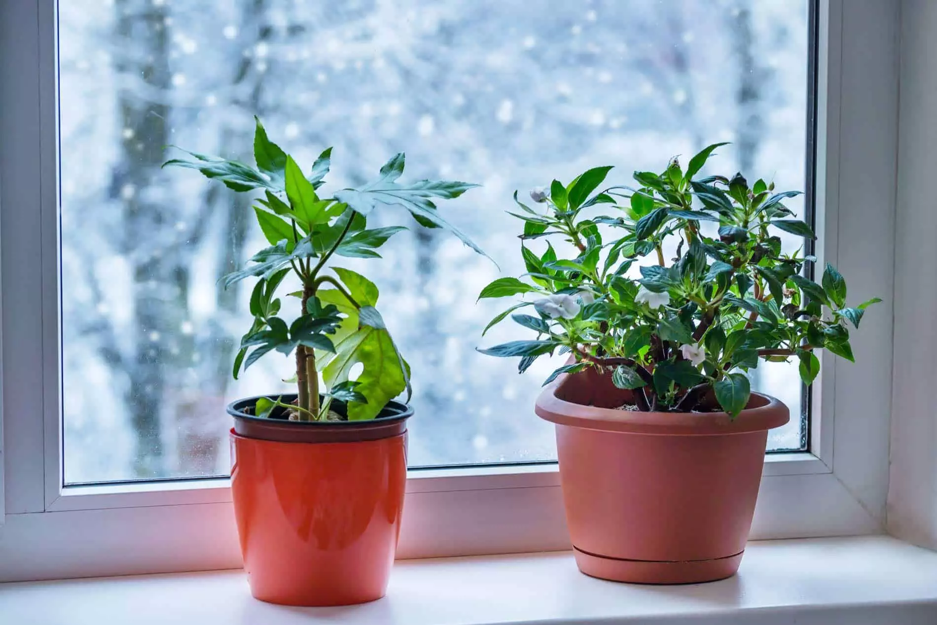 You are currently viewing Discover the comfort of a whole home humidifier this winter